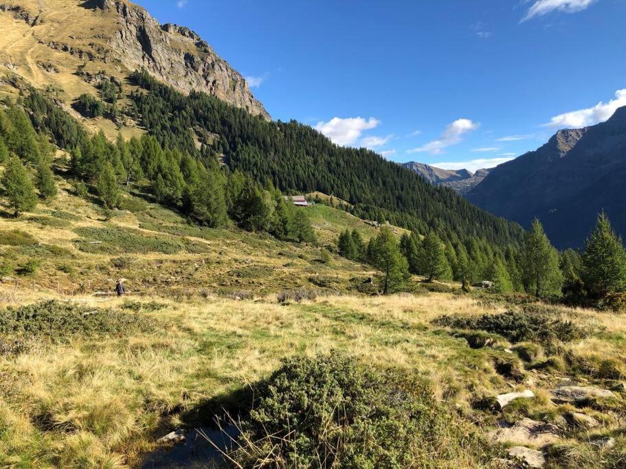 Wohnung Mit Bergblick Im Haus Sonne Reith bei Seefeld Eksteriør bilde